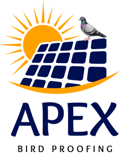 apex bird roofing logo
